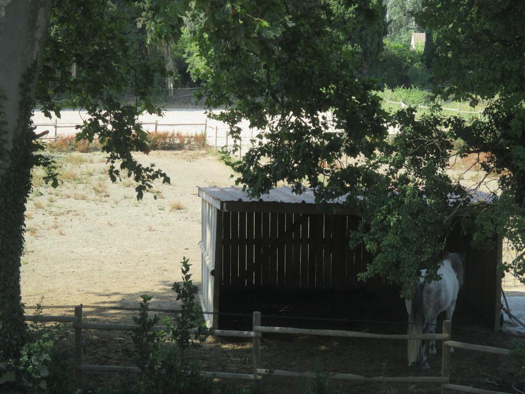 Mas Le Nathakassou Villa Cabannes Luaran gambar