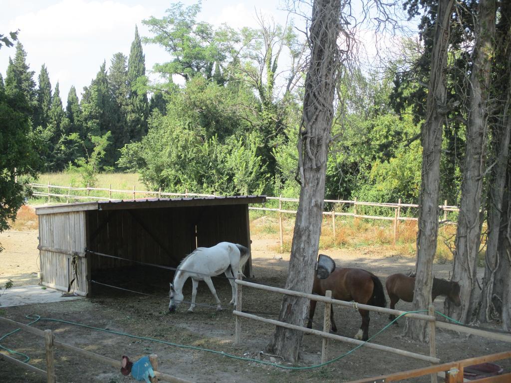 Mas Le Nathakassou Villa Cabannes Luaran gambar